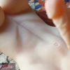 T531(12.1lb/53cm) 6.7inch Dildo Trans Woman Femboy Toy